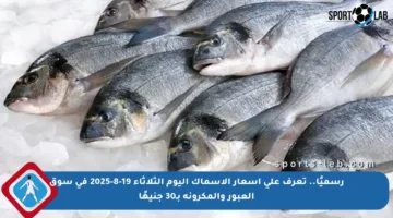 رسميًا.. تعرف على أسعار الأسماك اليوم الثلاثاء 19-8-2025 في سوق العبور والمكرونة بـ30 جنيهًا